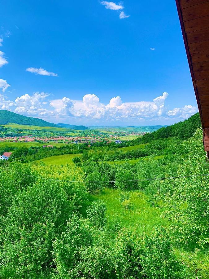 Rustic Cottage Sibiu Bagian luar foto