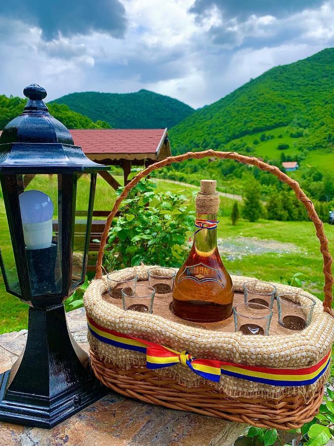 Rustic Cottage Sibiu Bagian luar foto