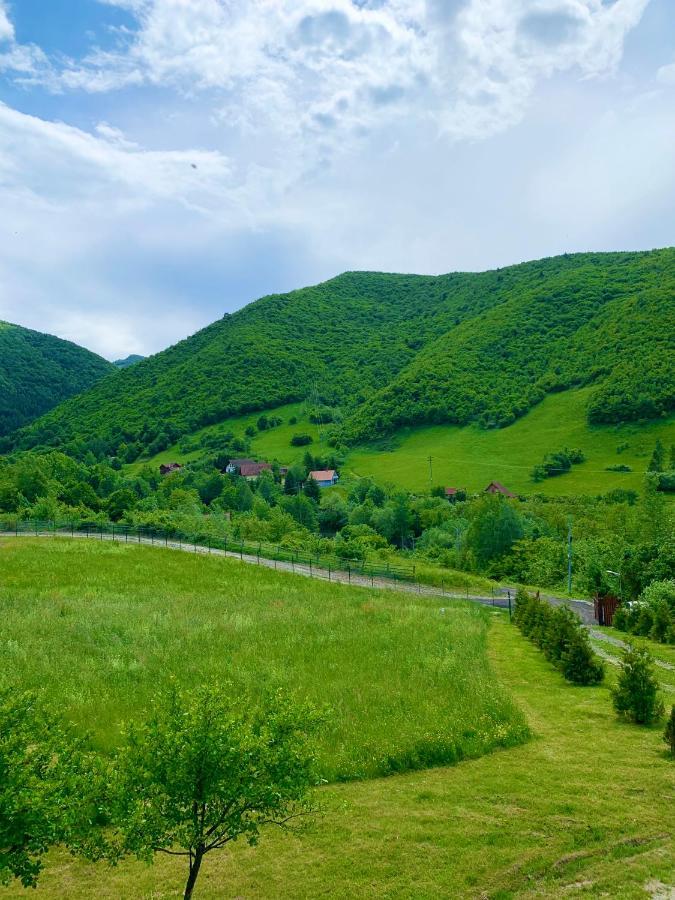 Rustic Cottage Sibiu Bagian luar foto